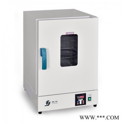 上海精宏电热恒温干燥箱DHG-9031A 恒温干燥箱 干燥箱
