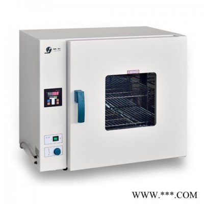 上海精宏电热恒温干燥箱DHG-9247A 恒温干燥箱