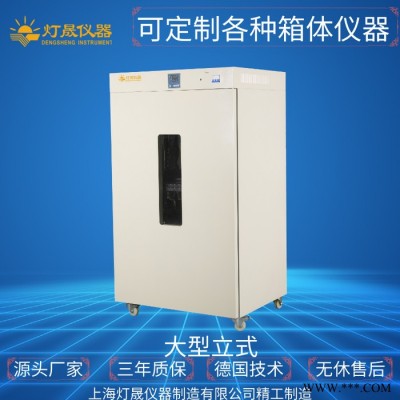 充氮鼓风干燥箱DHG-91003C 上海厂家现货直销 可非标定做定做大型鼓风烘箱干燥箱 热风循环烘箱