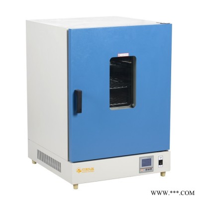 充氮鼓风干燥箱DHG-91053C 上海厂家现货直销 可非标定做定做大型鼓风烘箱干燥箱 热风循环烘箱