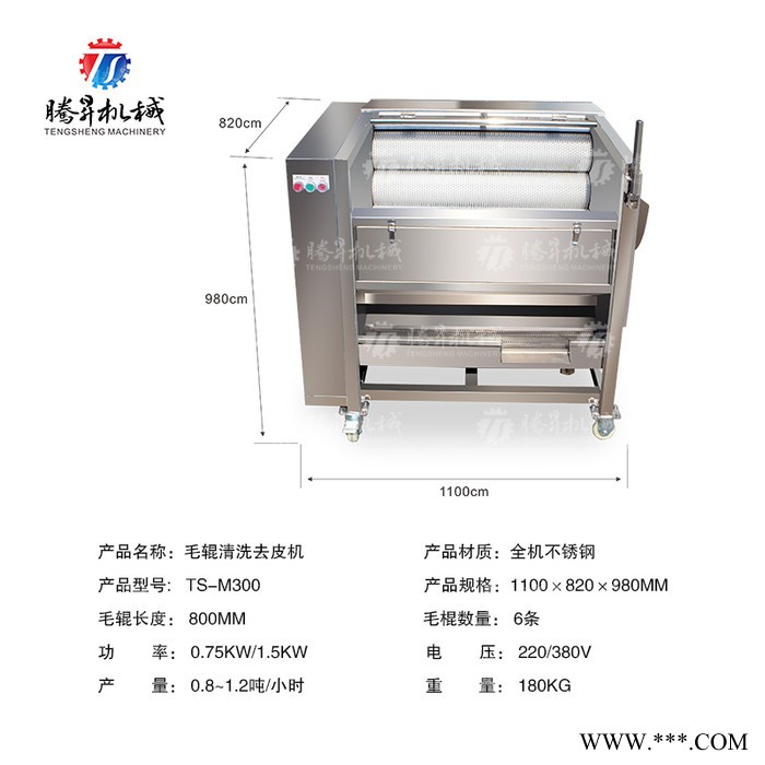 腾昇TS-M300小型毛刷清洗机自动板栗清洗机 红薯清洗机视频 价格 欢迎咨询图1