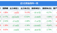 股票行情快报：美力科技（300611）2月28日主力资金净买入1.85万元