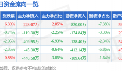 美力科技（300611）9月18日主力资金净买入228.07万元